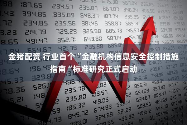 金猪配资 行业首个“金融机构信息安全控制措施指南“标准研究正式启动