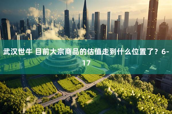 武汉世牛 目前大宗商品的估值走到什么位置了？6-17