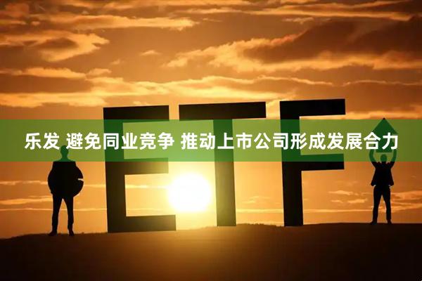 乐发 避免同业竞争 推动上市公司形成发展合力