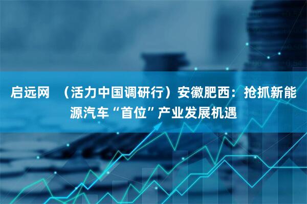 启远网  （活力中国调研行）安徽肥西：抢抓新能源汽车“首位”产业发展机遇