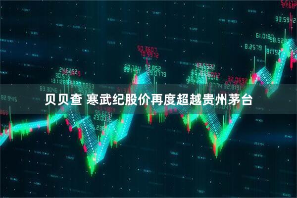 贝贝查 寒武纪股价再度超越贵州茅台