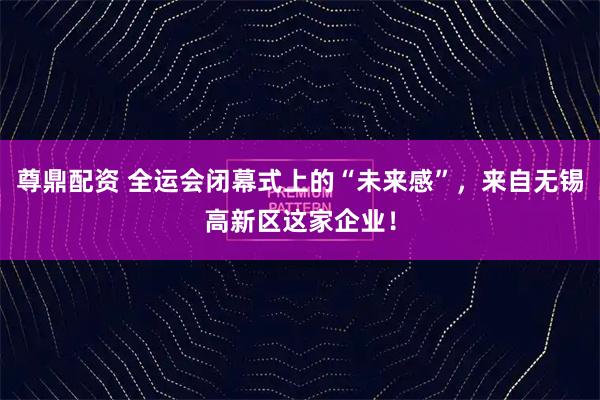 尊鼎配资 全运会闭幕式上的“未来感”,来自无锡高新区这家企业!
