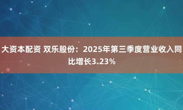 大资本配资 双乐股份：2025年第三季度营业收入同比增长3.23%