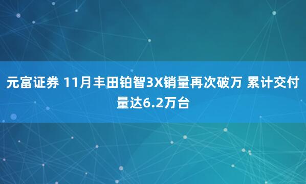 元富证券 11月丰田铂智3X销量再次破万 累计交付量达6.2万台
