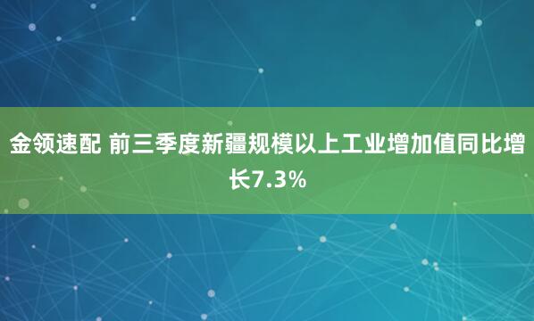 金领速配 前三季度新疆规模以上工业增加值同比增长7.3%