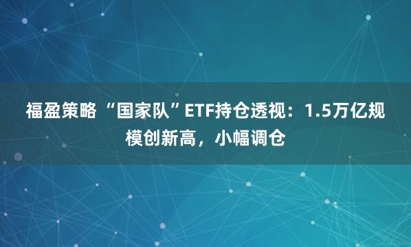 福盈策略 “国家队”ETF持仓透视:1.5万亿规模创新高,小幅调仓